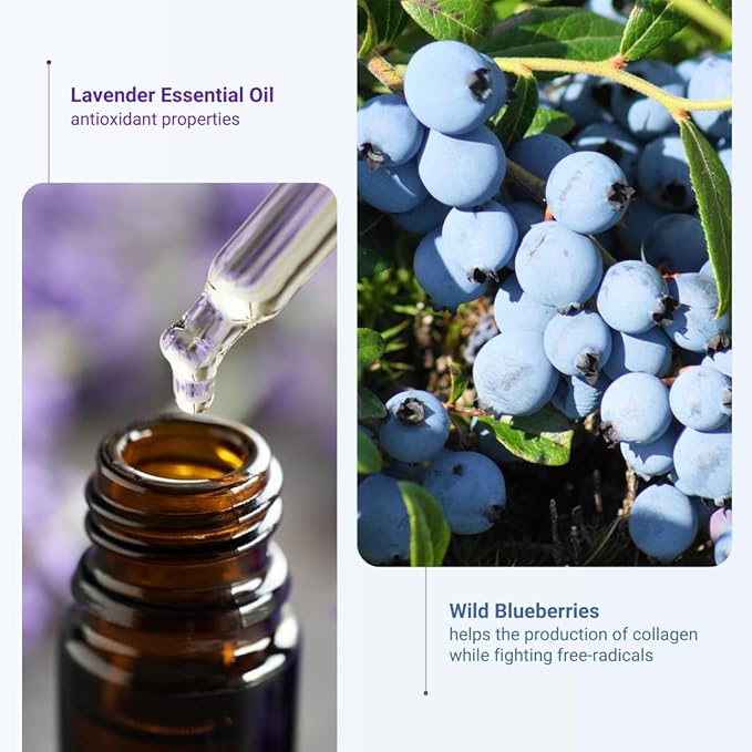 Wild Blueberry Lavender Facial Mist (3.4oz) - pH Balancing Skin Prep Spray to Tone & Maintain Elasticity- USDA Certified Organic.