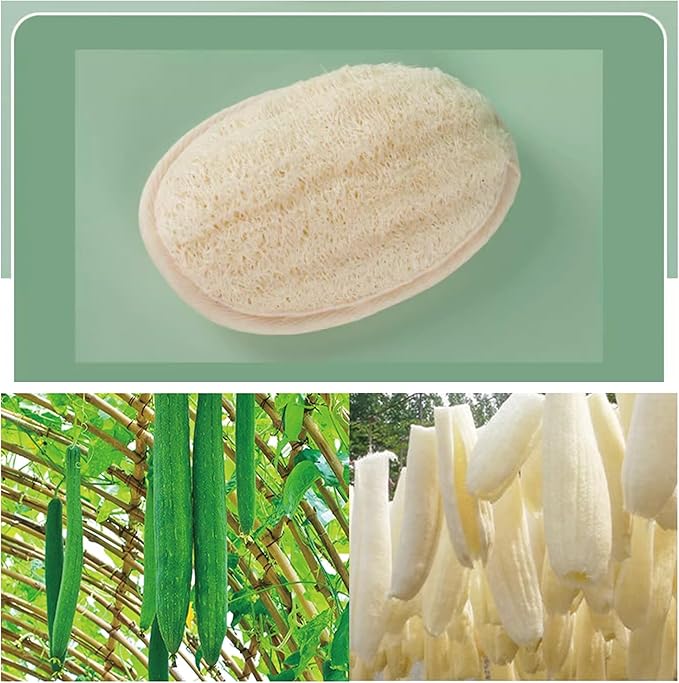 Natural Loofah Exfoliating Body Scrubber Pads, Bath Loofah for Women & Men, 100% Plant-Based Shower Luffa Sponge (3-Pack)