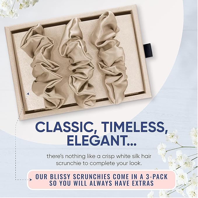Blissy Silk Scrunchies (3 Pack) - 100% Pure Mulberry Silk - 22 Momme 6A High-Grade Fibers Scrunchie for Straight & Curly Hair - Preventing Breakage, Tangling, & Creasing (Champagne Regular)