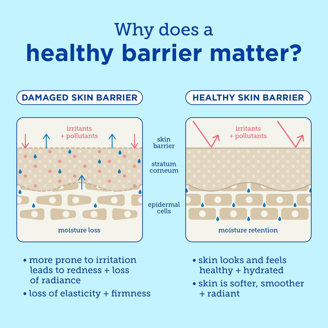 Why Skin Barrier Repair Should Come Before Anti-Aging Products