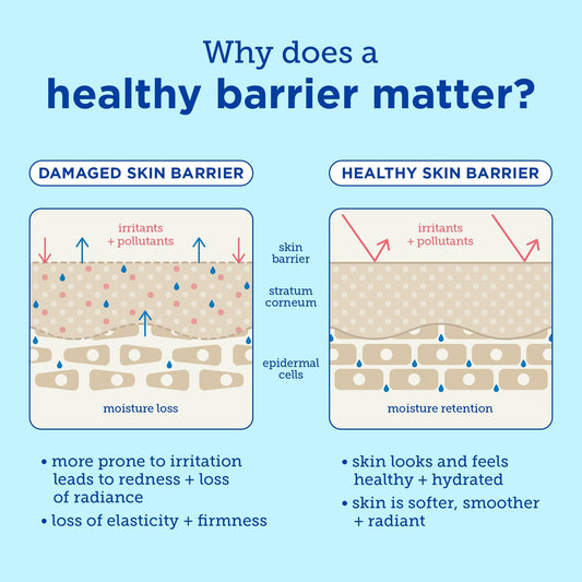 Why Skin Barrier Repair Should Come Before Anti-Aging Products