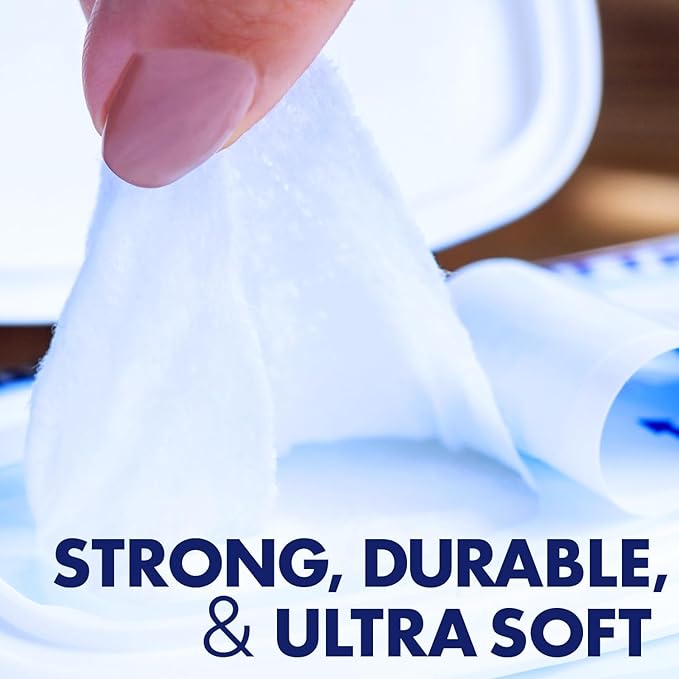 Homecare Pro Oversized Daily Cleansing Adult Wipes With 6 Moisturizers Wet Cleansing, Rinse Free, Bathing Wipes, Hospital Grade pH Balanced for Fragile Skin - | 48 Count XL |- 2 Pack