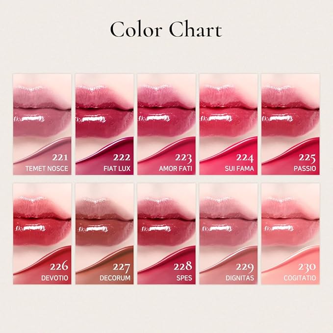 DINTO Blur-Glowy Lip Tint (228 Spēs)