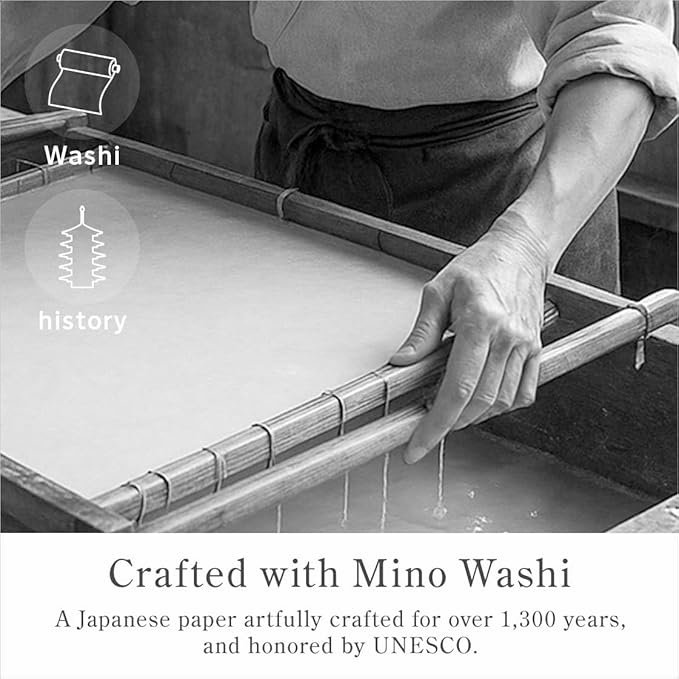 Oil Blotting Paper 100 Sheets,pack of 1 – Natural Black Charcoal Facial Tissues with Premium Washi Japanese Paper, Portable Easy Dispensing, Made in Japan, Skin-Care & Makeup Essential