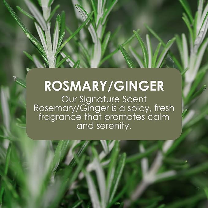 Jean & Len Hand & Body Wash Rosemary and Ginger in canister, cleans and cares for the skin, spicy fresh scent, liquid soap in refill canister, without silicones & parabens, 169.07 Fl. OZ.