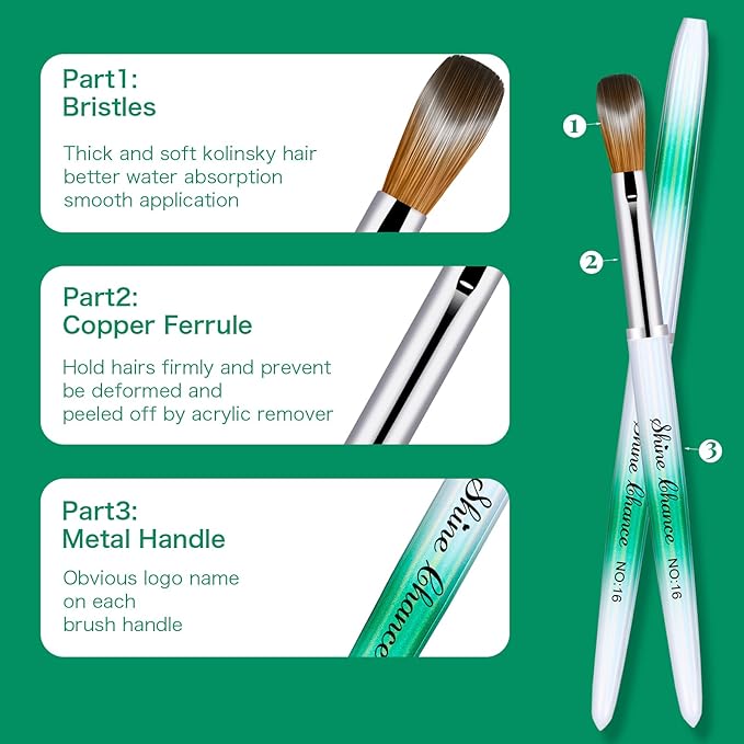 Shine Chance 6 Pcs Nail Brushes Set, Kolinsky Nail Art Brush, Art Design & Polish Mistake Cleaning Manicure Tools for Women - Acrylic Application (Sizes 2, 6, 8, 10, 14, 16)