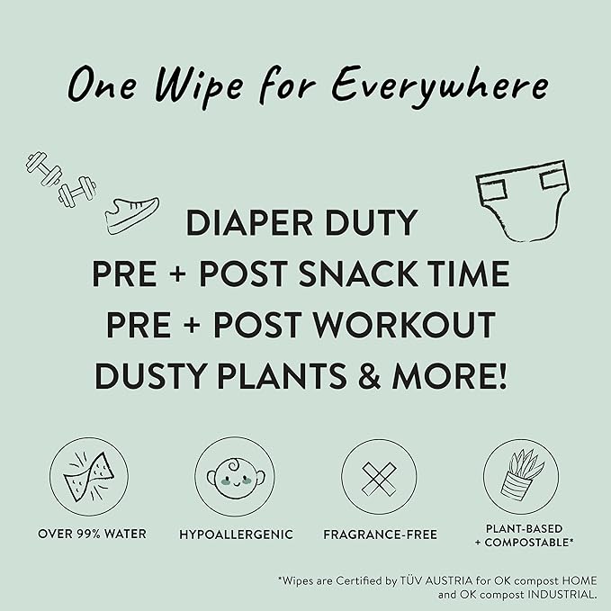 The Honest Company Hypoallergenic Multi-Use Baby Wipes for Sensitive Baby Skin Rainbow 60 Count