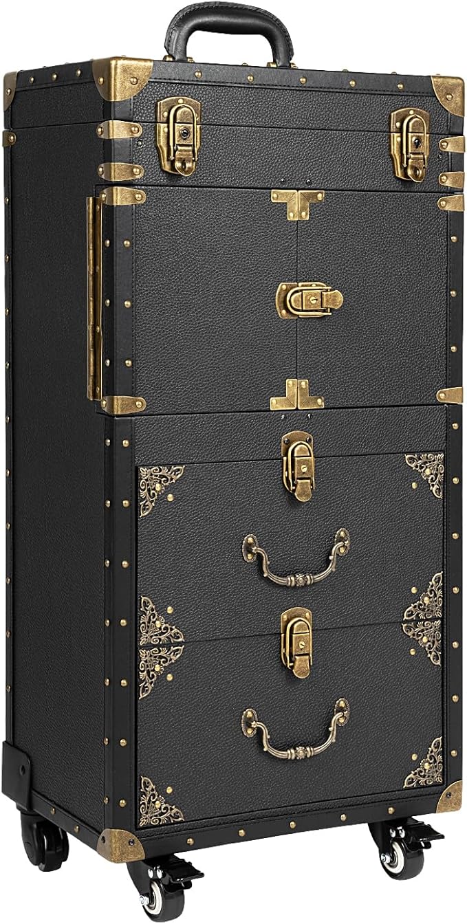 Beauty Salon Luggage, Rolling Lockable Makeup Train Case, Hairdressing Trolley Stylist Beauty Salon Cosmetic Luggage Travel Organizer Tool Box with Hair Dryer Holder for Makeup, Black