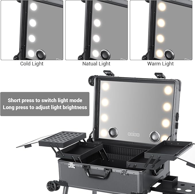 Rolling Makeup Train Case with Lighted Mirror and Bluetooth Speaker Professional Cosmetic Organizer Case with Wheels, Stands Portable Makup Station Vanity for Travel (Gray, Medium)